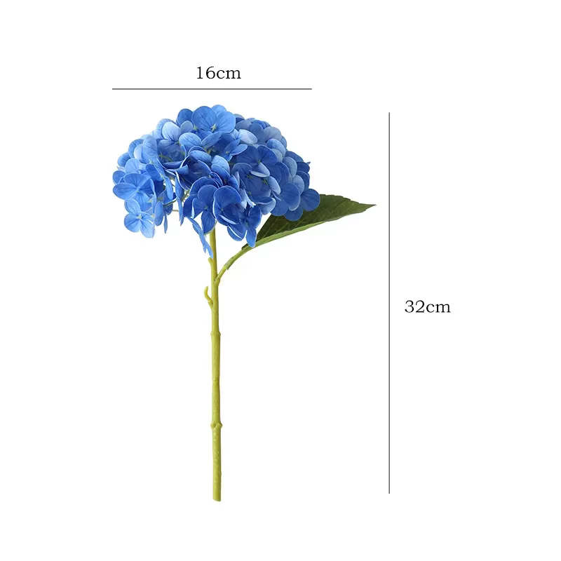 Film d'hortensia en Latex 3D