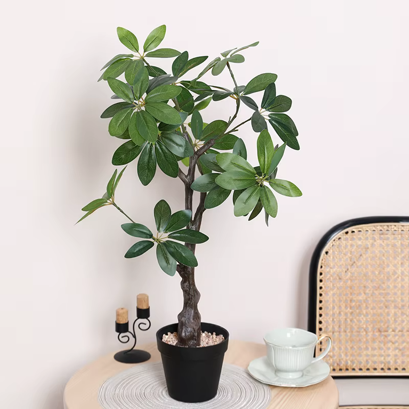 1 arbre de simulation de plante
