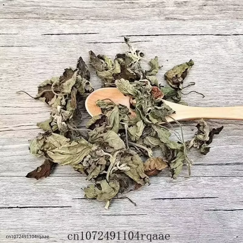 Feuilles d'Agastache Rugosa Séchées Naturelles Pures