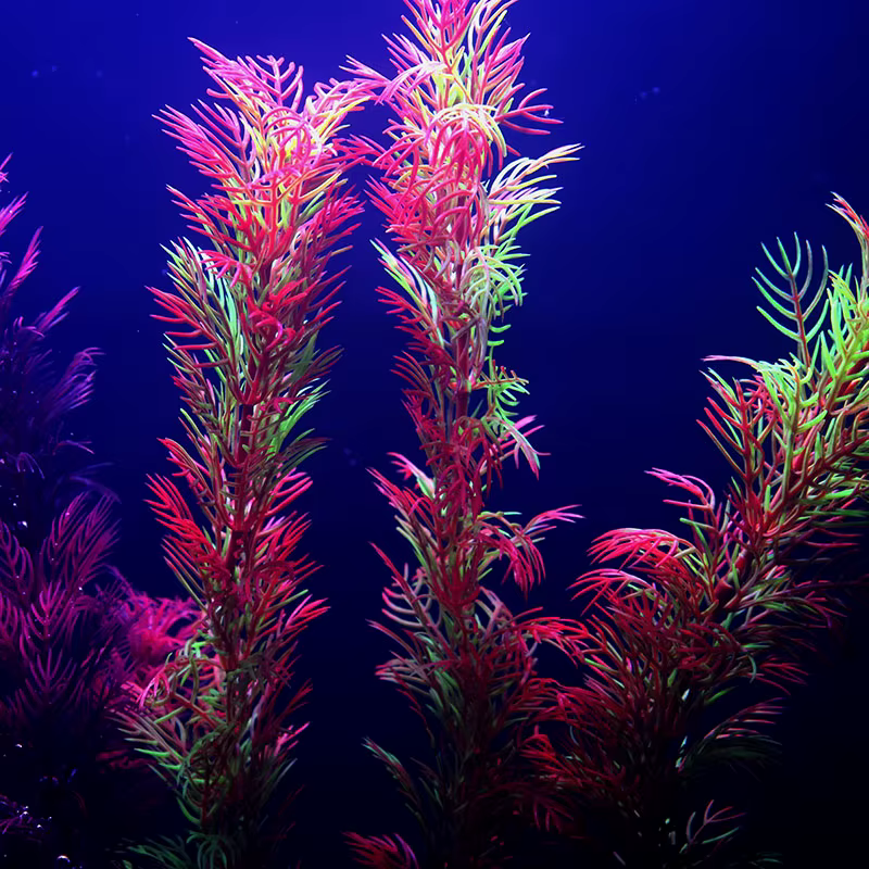 Plantes artificielles de décoration d'aquarium