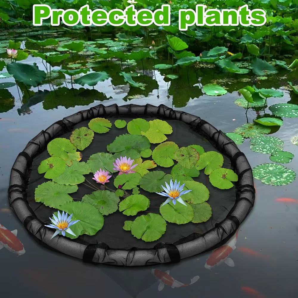 Barrière flottante pour poissons, 1 paquet, protection des plantes d'île flottante, barrière ronde pour poissons, filet de Protection pour étang pour plantes flottantes