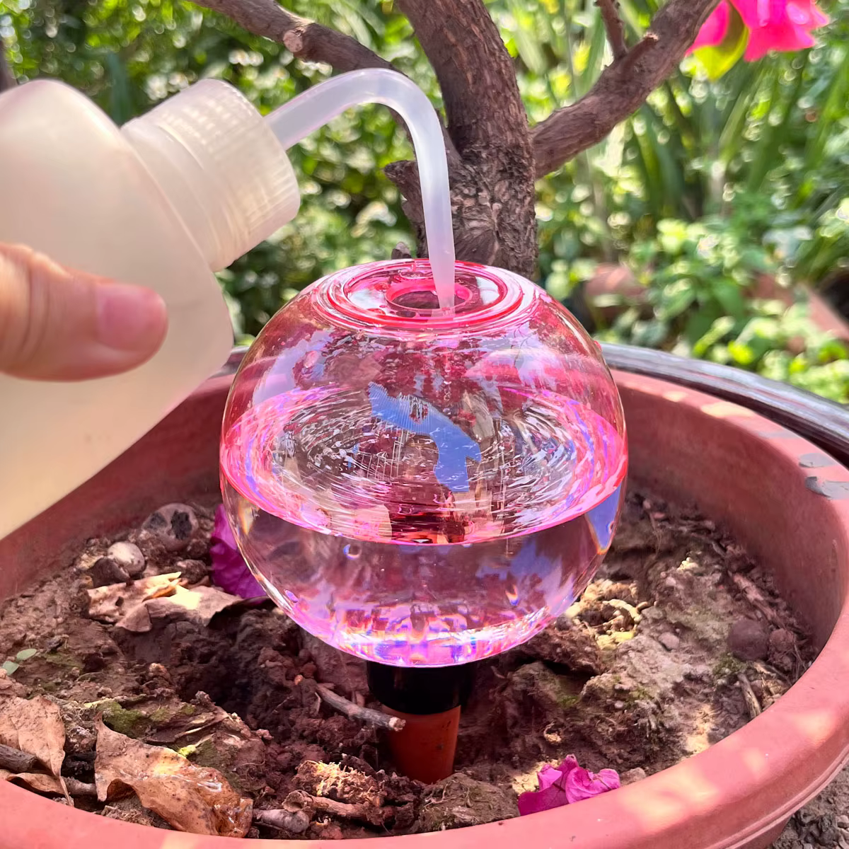 2 boules d'arrosage automatiques pour plantes