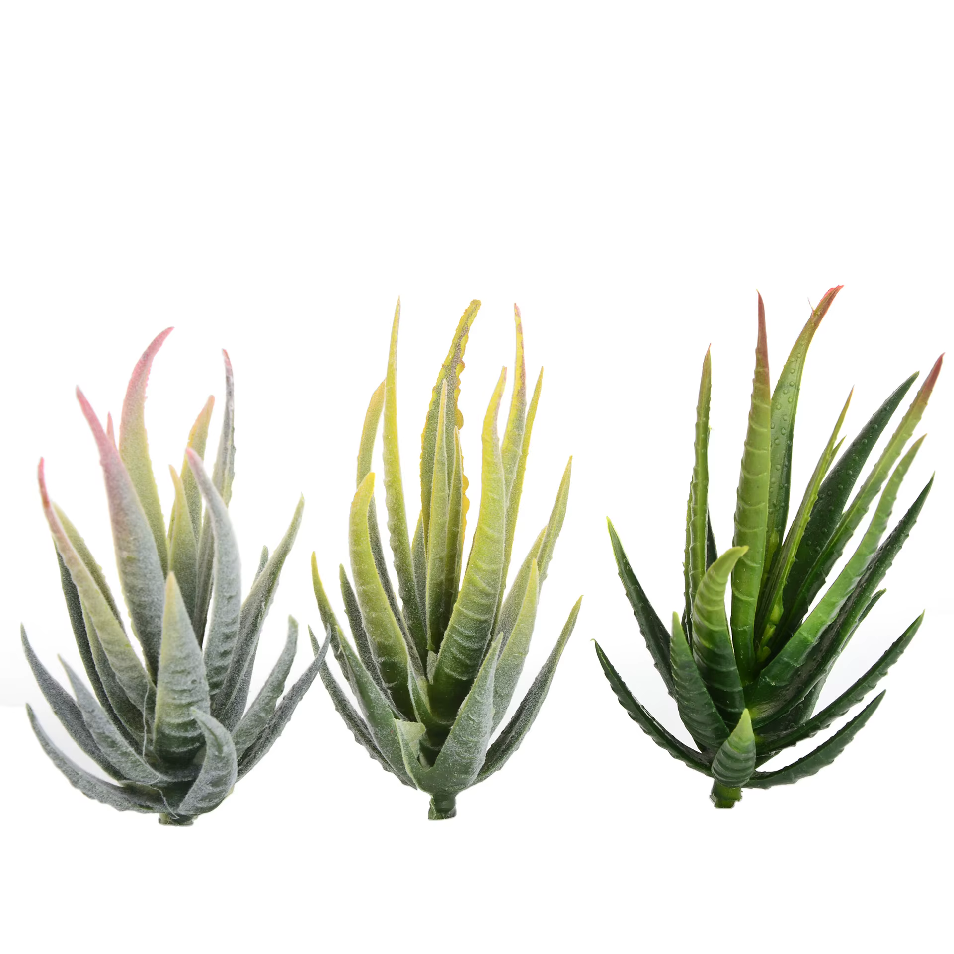 Vert rose jaune zèbre Aloe plantes succulentes artificielles maison jardin décoration bricolage