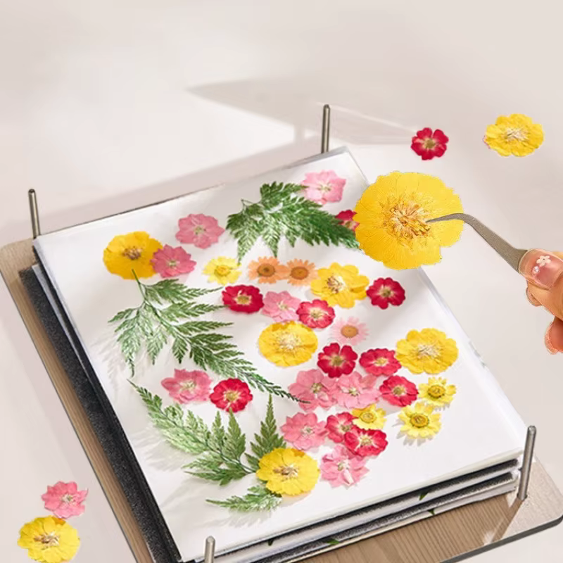 Kit de presse à fleurs 5 couches