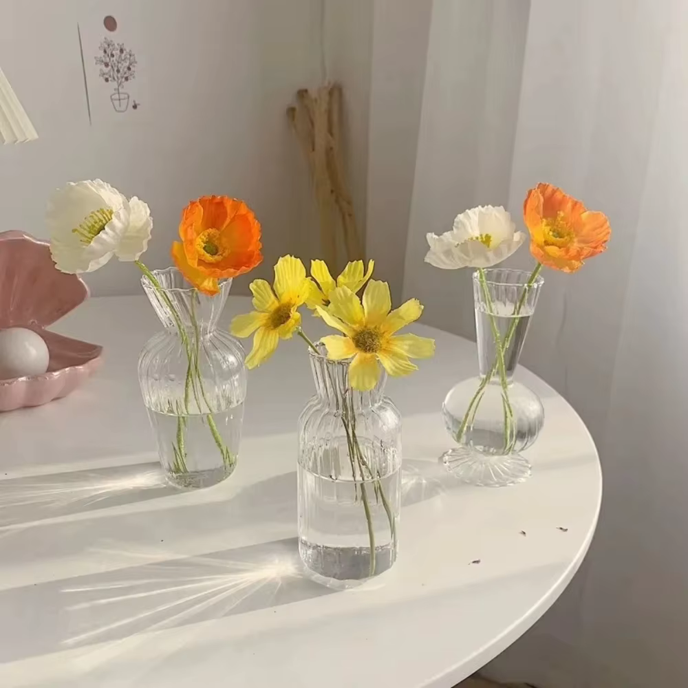Vases transparents créatifs nordiques
