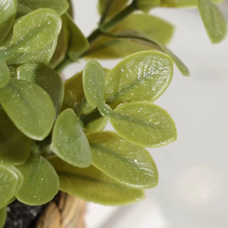 Plante en Pot petites fausses plantes