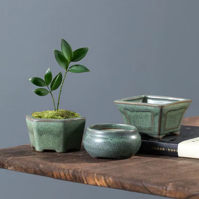 Pot de plantes succulentes émaillées en poterie grossière