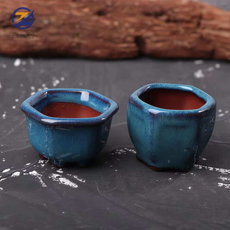 Mini pots de plantes avec trous