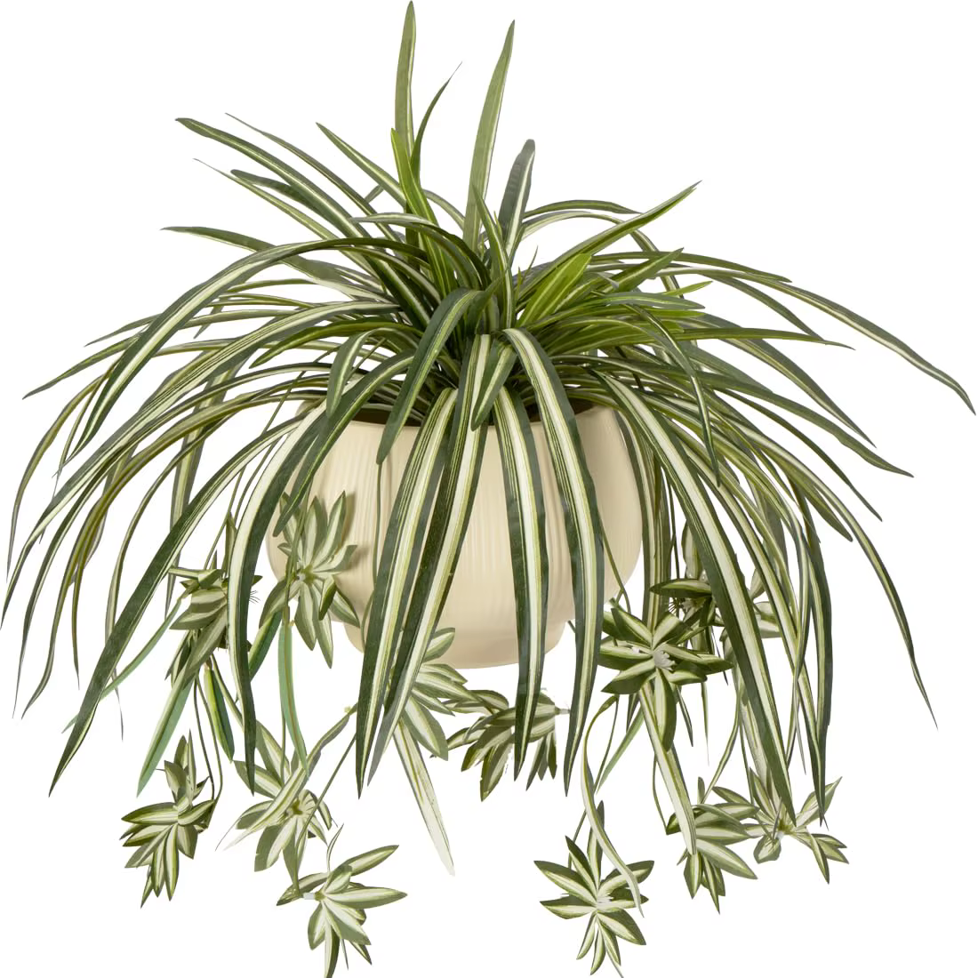 4 plantes artificielles suspendues en forme d'araignée