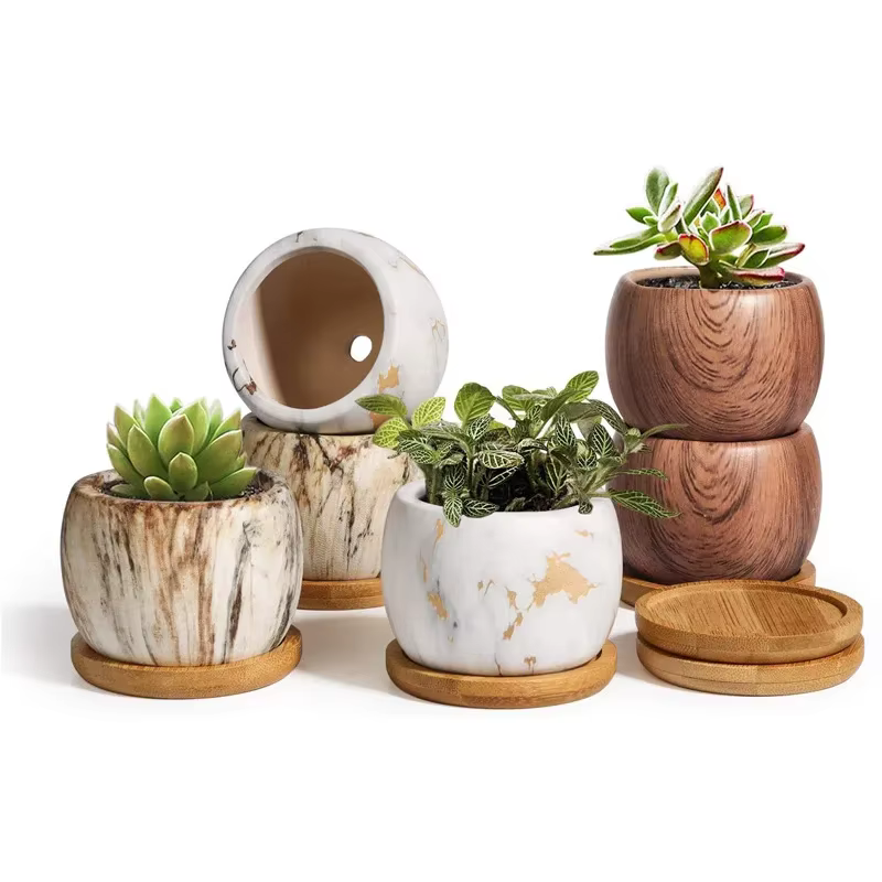 Pots de fleurs succulentes en céramique