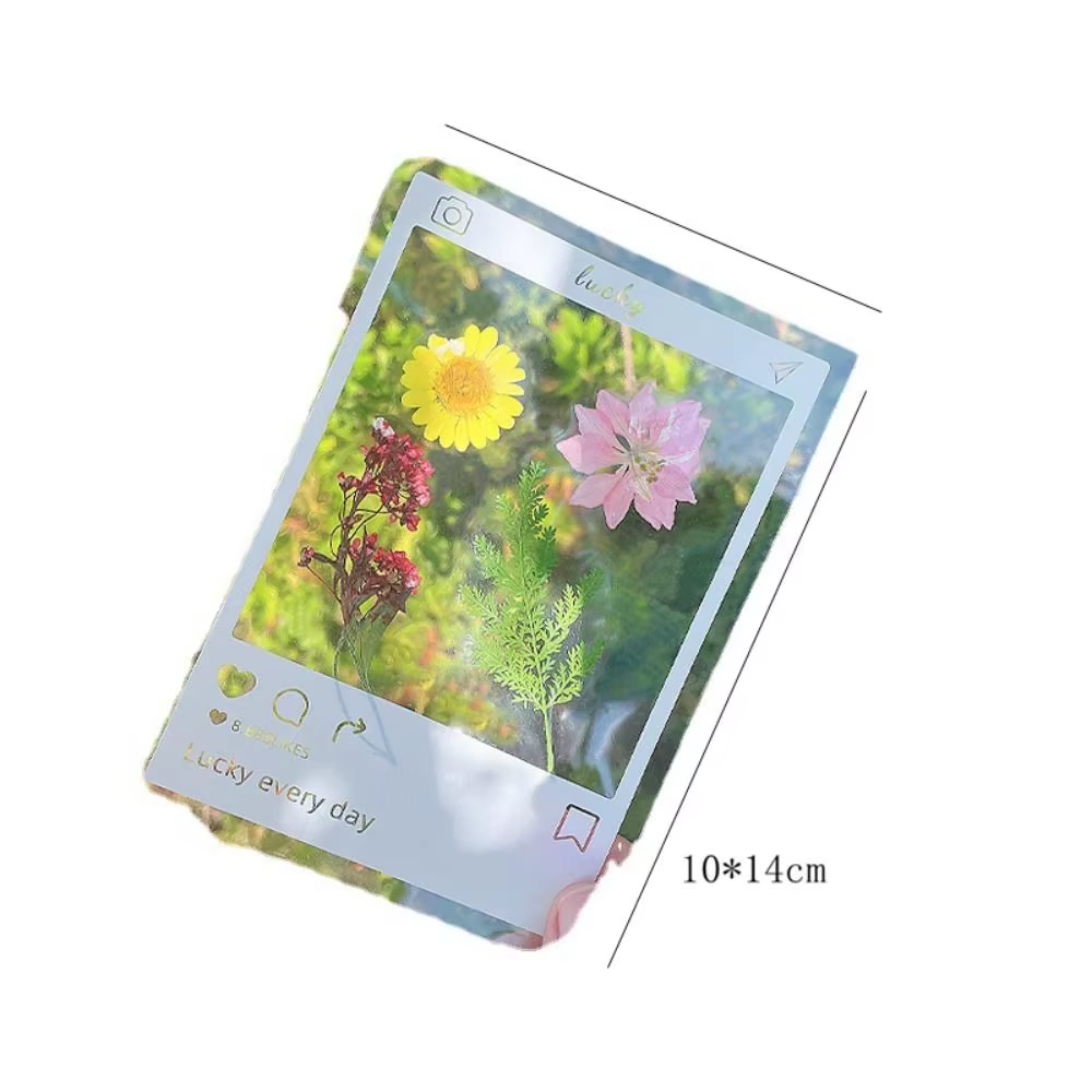 Bricolage matériaux bricolage fleurs séchées signets pressé fleur PET fleurs séchées autocollants à la main Transparent fleur Page signet enfants