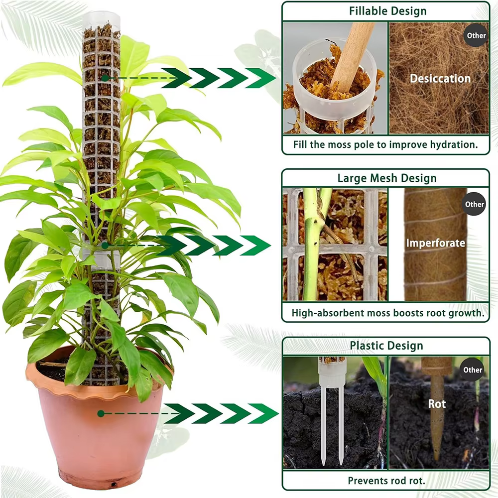 Poteau de mousse pour plantes grimpantes Monstera
