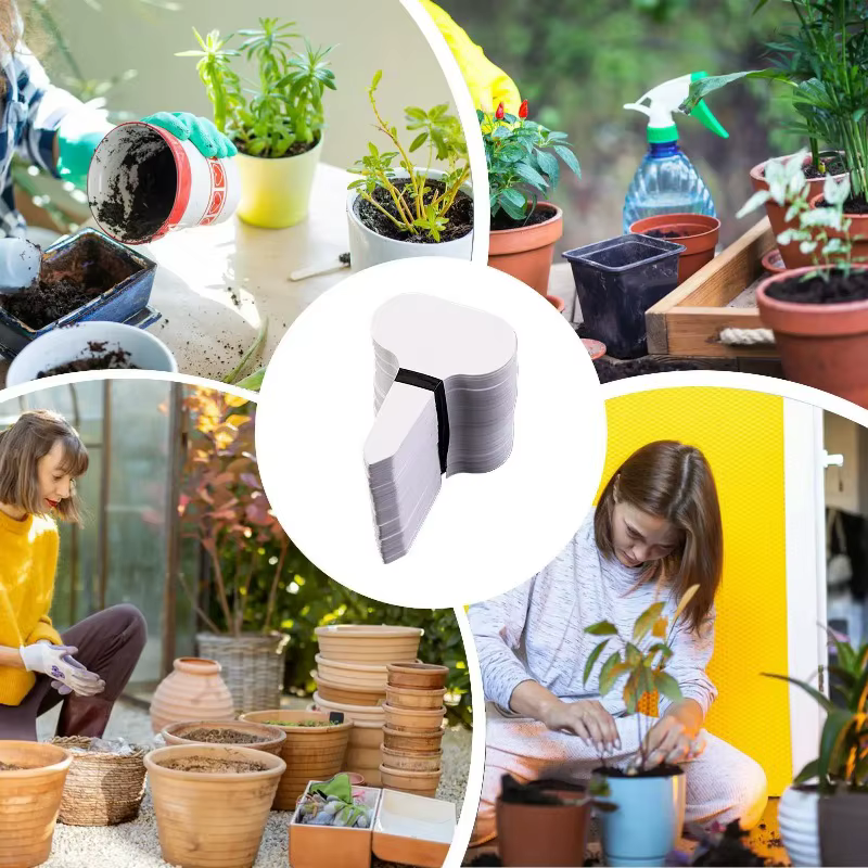 100 étiquettes de jardin en PVC pour plantes en pot