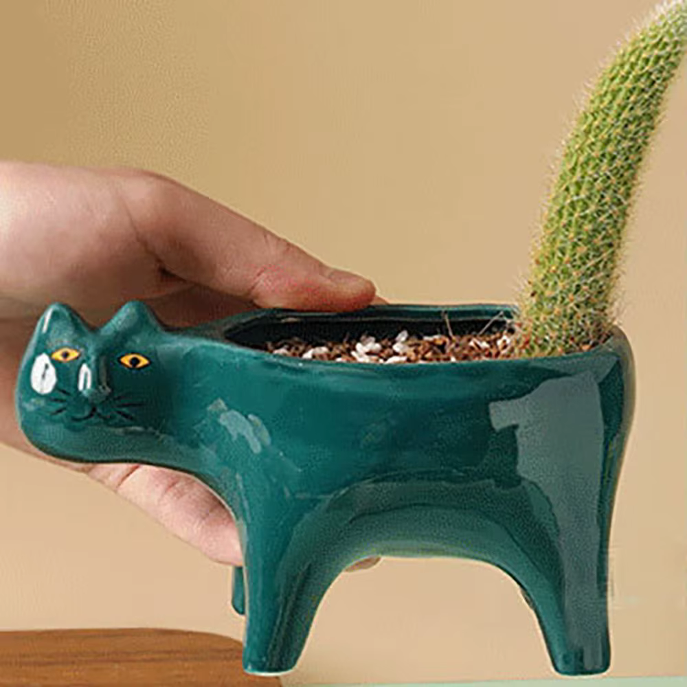 Pot de balcon en Pot pour chat succulent