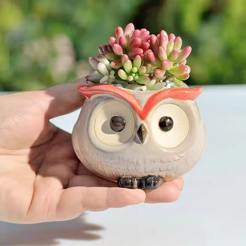 Mini pot de fleurs hibou