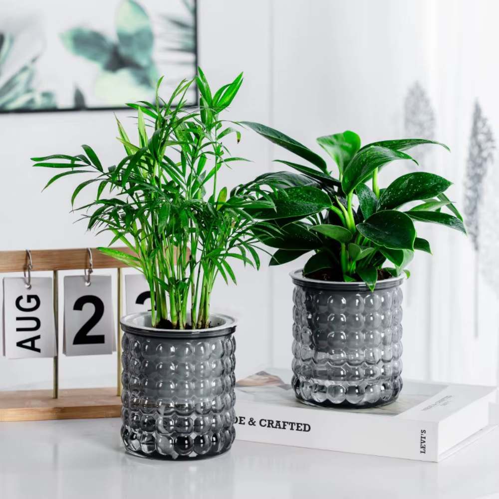Nouveau Pot de plantes hydroponiques à arrosage automatique