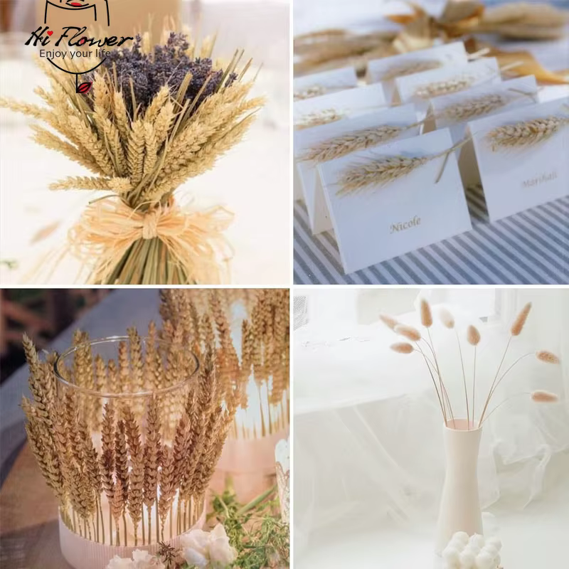 160 Pièces de Fleurs Séchées Naturelles en Épis de Blé pour Décoration Bohème