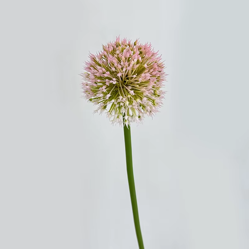 Tige de fleur d'alium artificielle 33 pouces