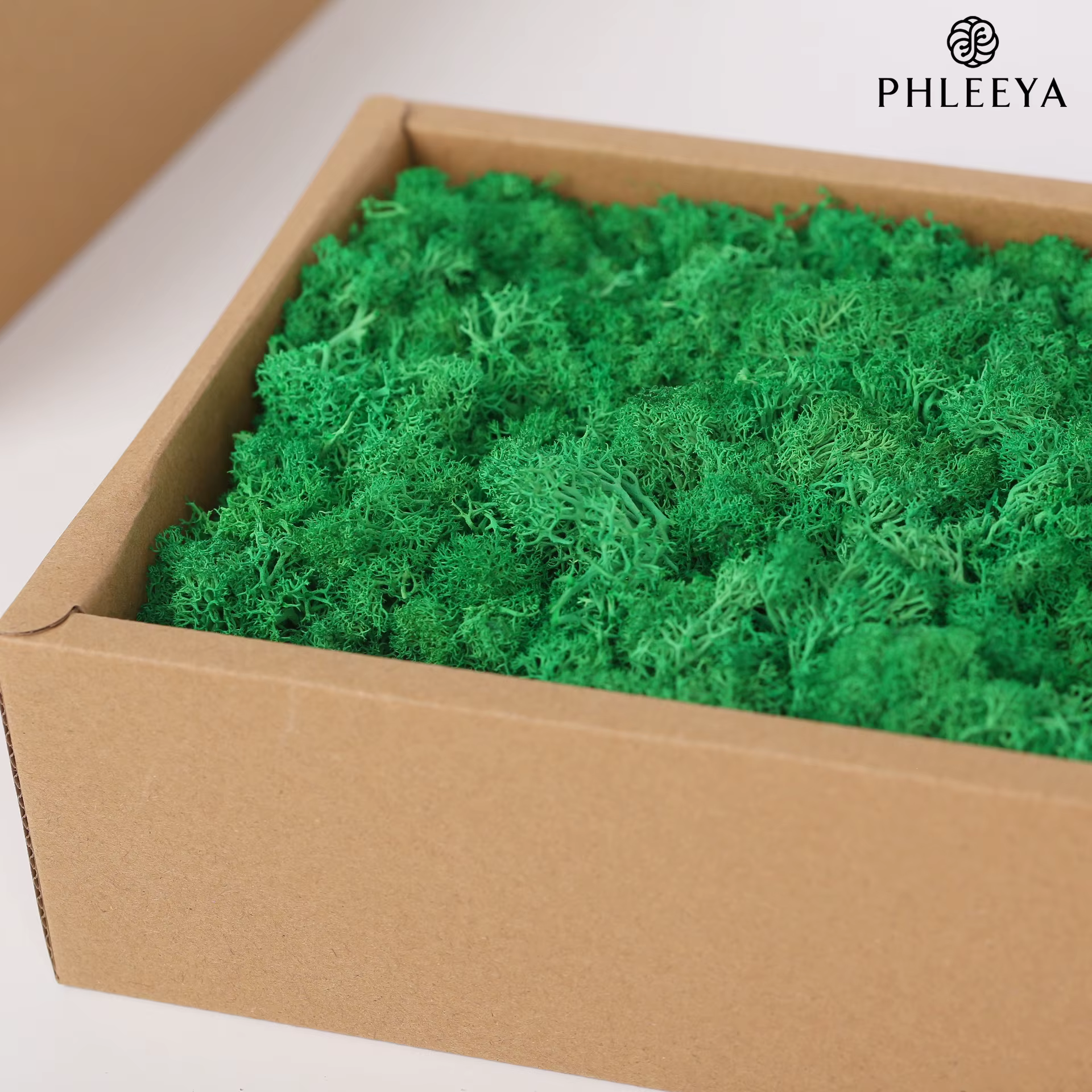 Plante verte artificielle