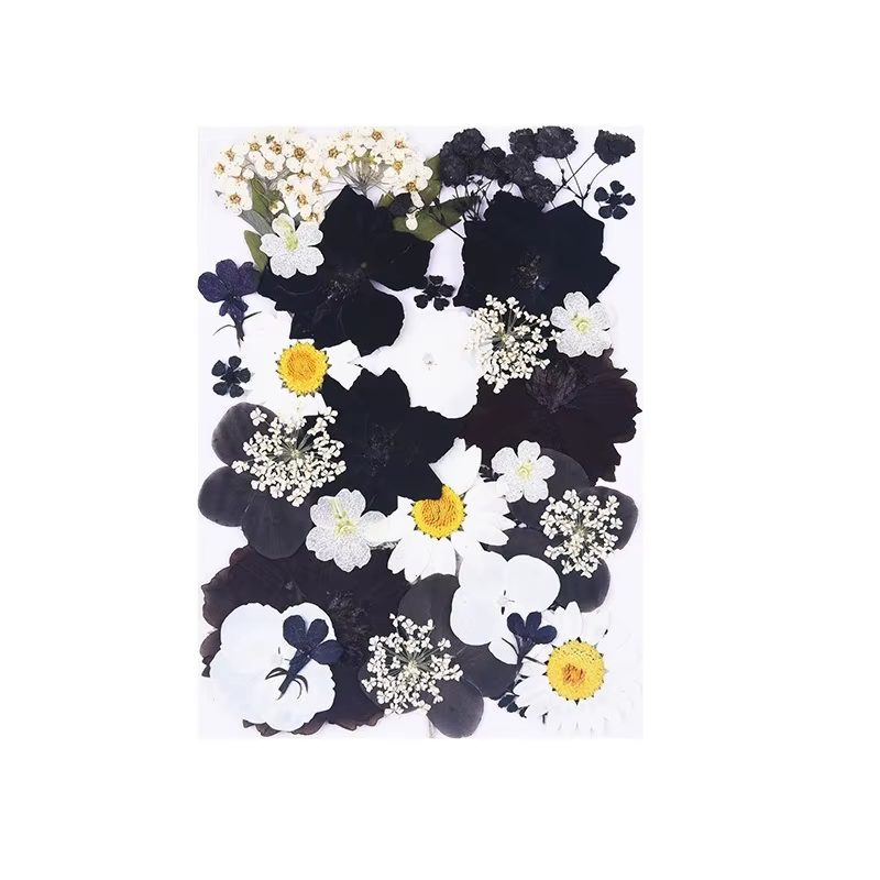 1 paquet de 34 à 40 fleurs séchées