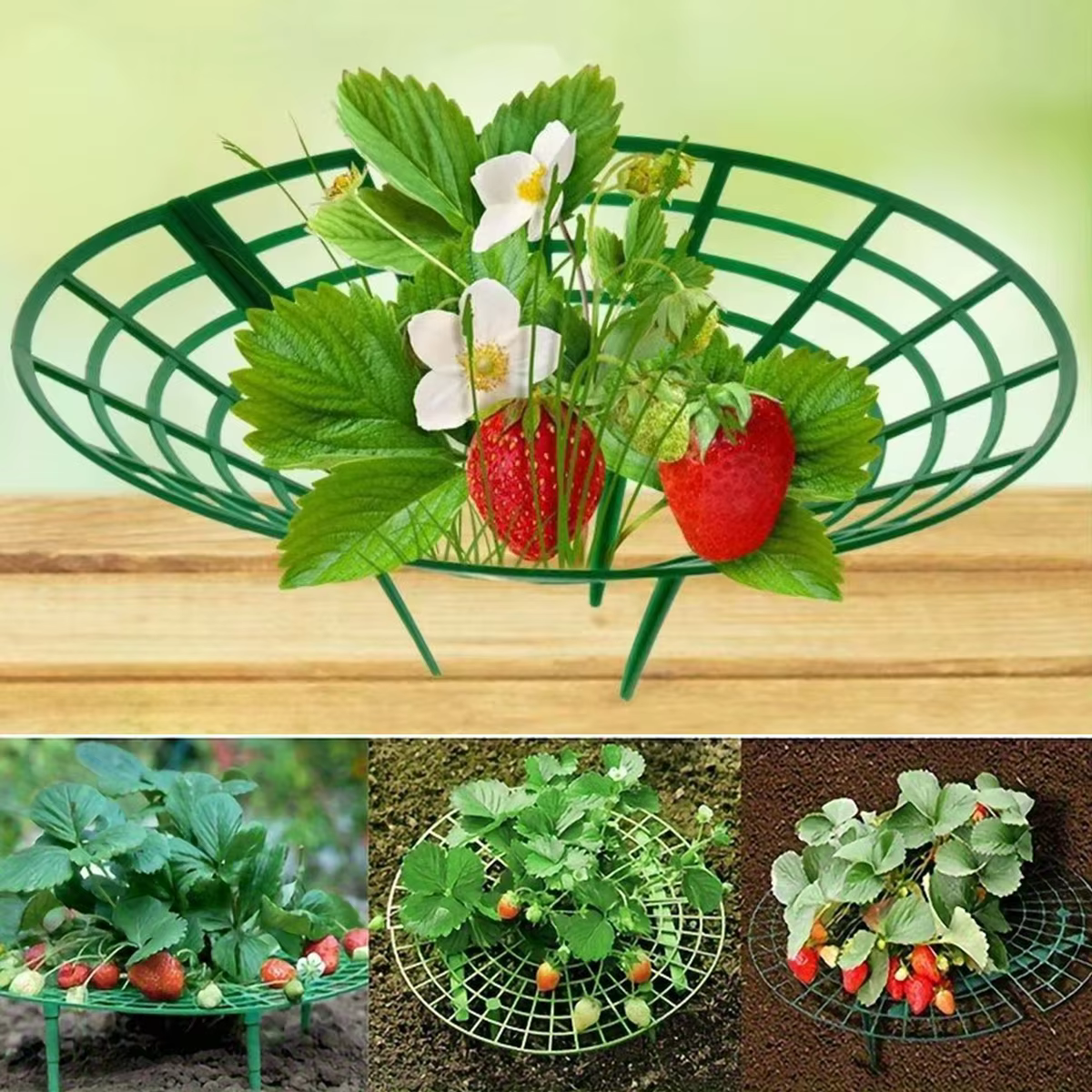 Support de culture pour fraises avec pieds