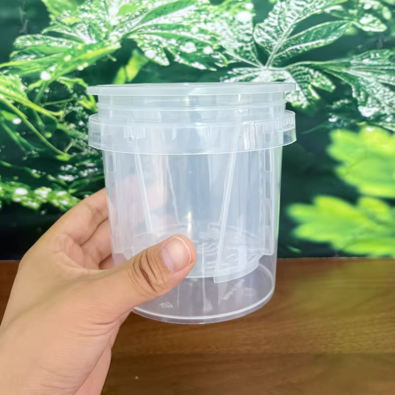 Pot de fleurs auto-arrosant à double couche pour plantes