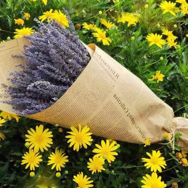 Mèches de fleurs de lavande séchées naturelles