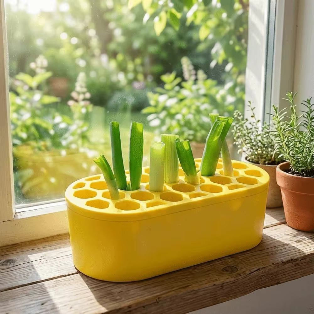 Pots de culture hydroponique multifonctionnels en plastique avec base de réservoir d'eau
