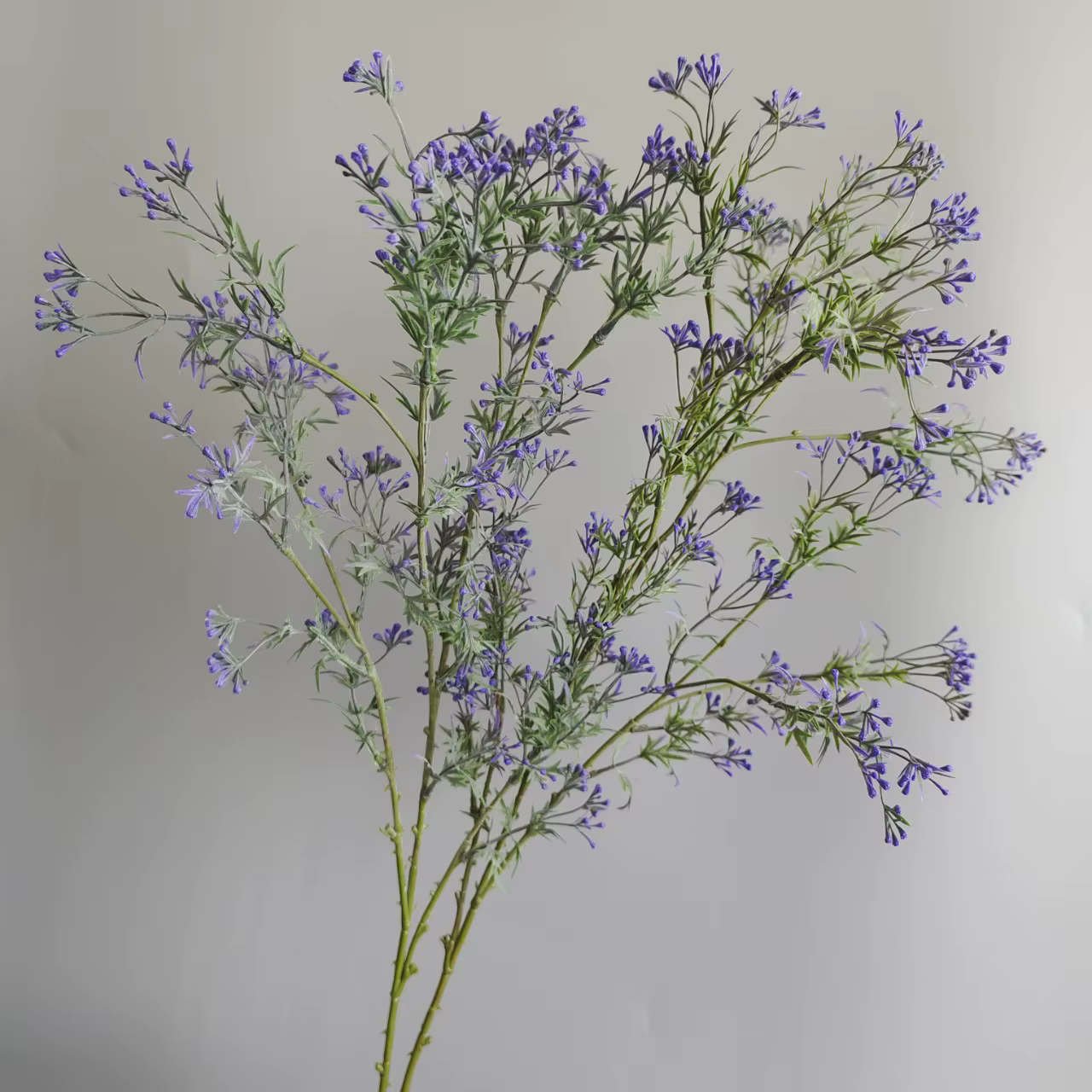Fleurs artificielles en céleri et gypsophile
