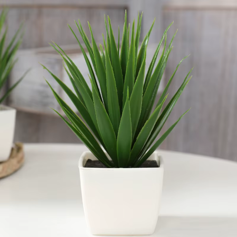 Plantes en pot de plantes de décoration de maison de Simulation de 1 pièce