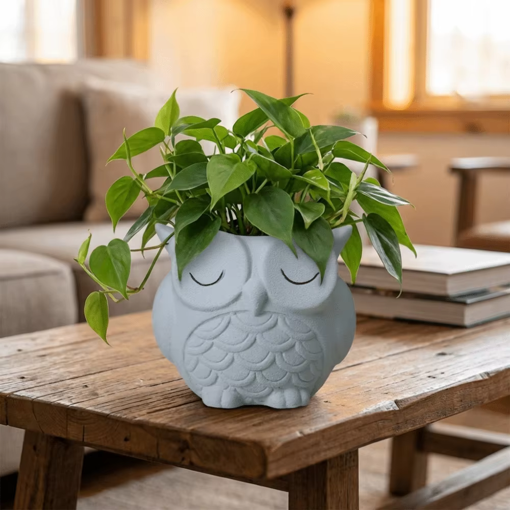Pot à plantes créatif en céramique en forme de hibou