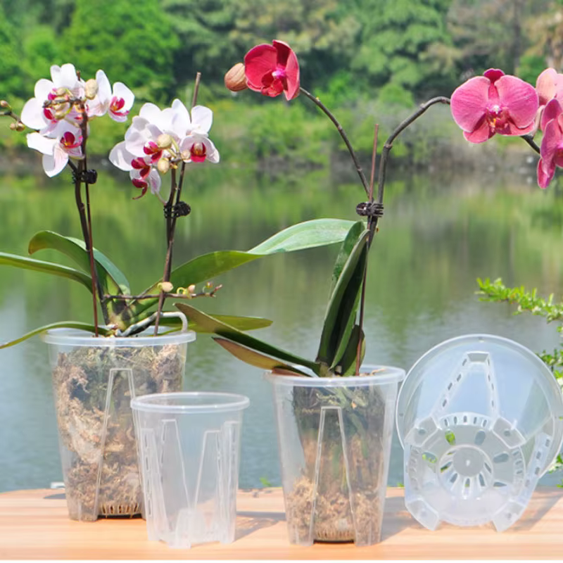 Pot de fleurs transparent en PP pour orchidées