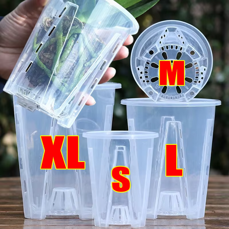 Pots à orchidées en plastique transparents avec trous de ventilation pour la plantation des Phalaenopsis