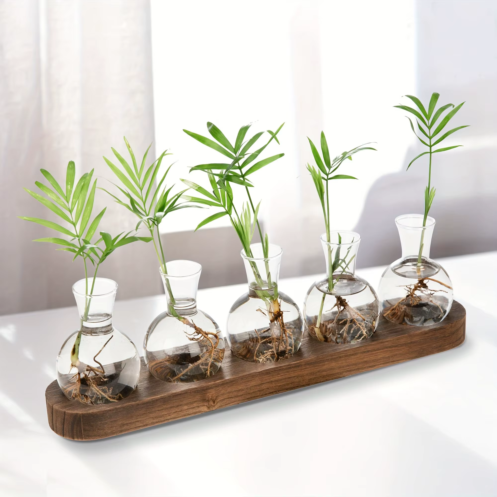 Terrarium en verre pour plantes avec plateau en bois – Pour vase hydroponique d'épandation intérieure