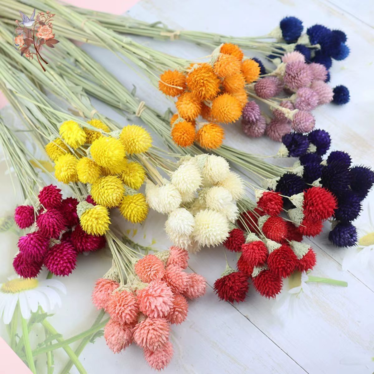 Bouquet de fleurs de fruits Harvey séchés naturels