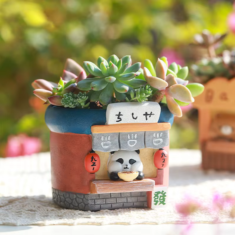 Pot de fleur créatif pour Cactus succulents