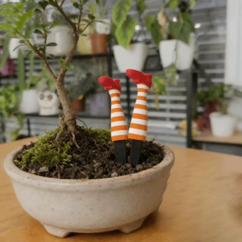 Mini Ensemble de Décoration de Jardinières