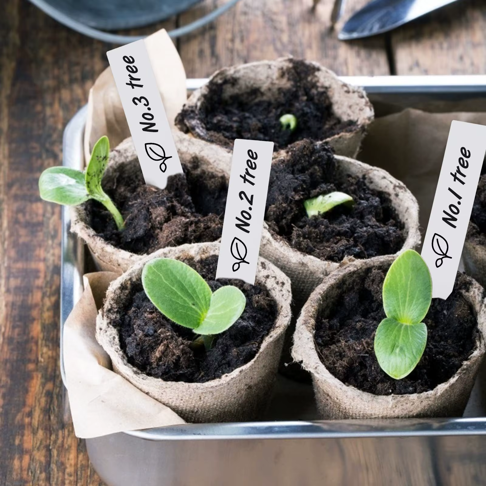 Étiquettes de marquage pour plantes