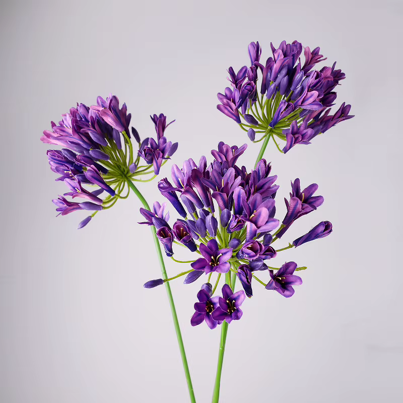 6 pièces de fleurs artificielles d'agapanthus en soie de haute qualité