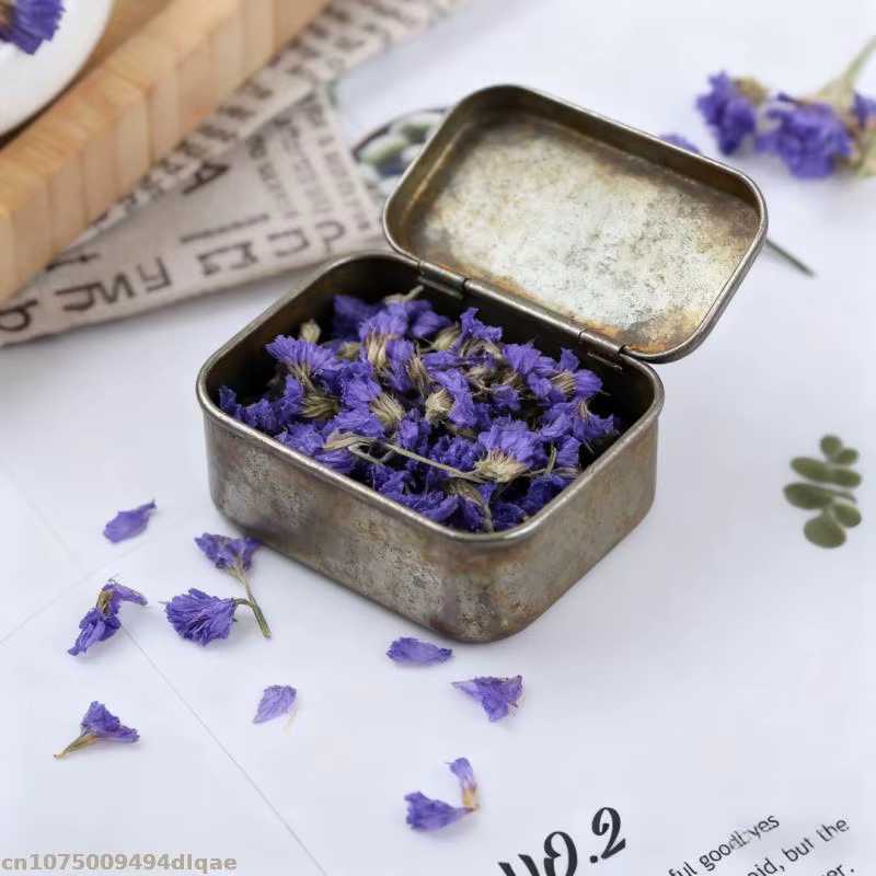 Miosotis bleu naturel en vrac