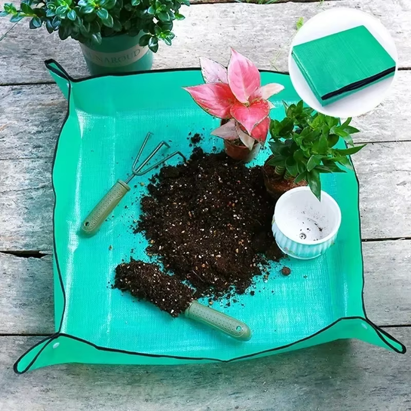 Tapis de régénération des plantes