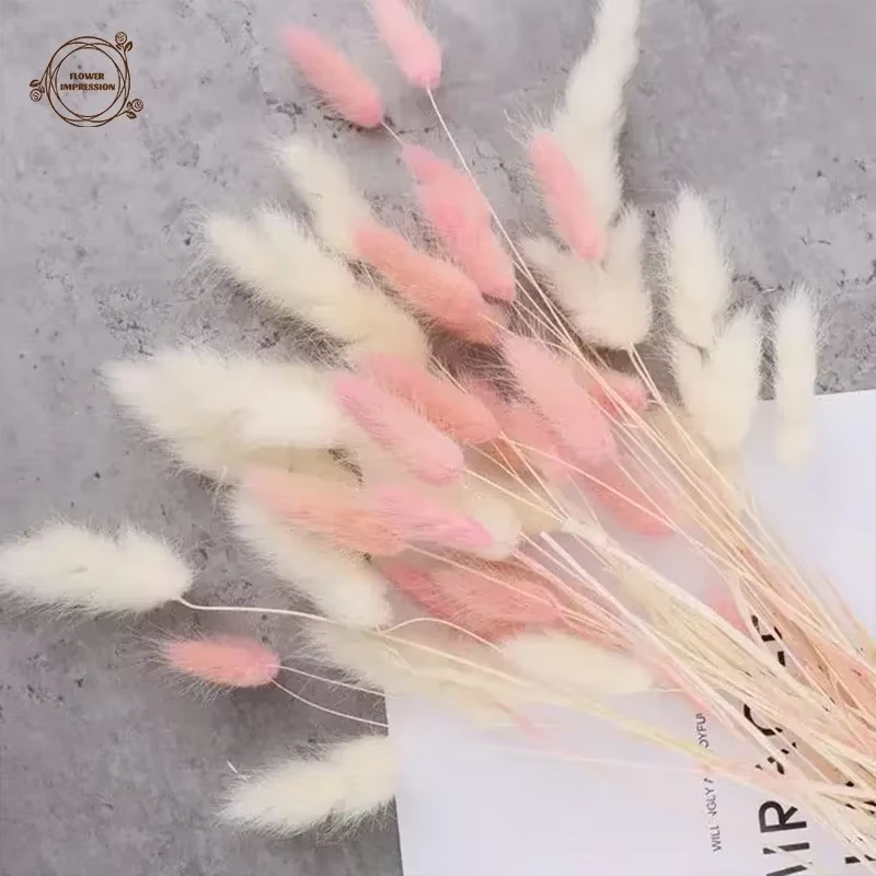 60 pièces fleurs séchées lapin queues