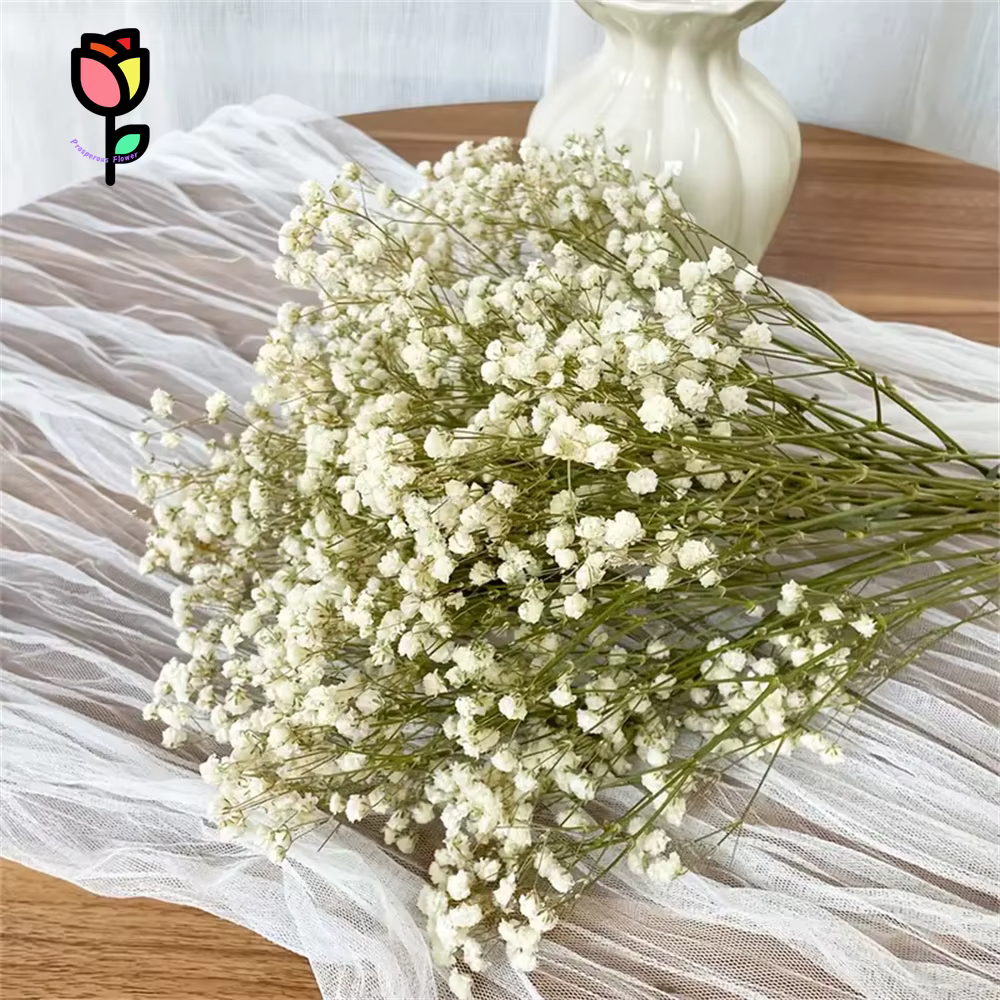 Bouquet de fleurs séchées pour bébé