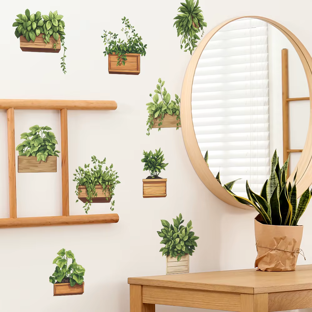 Plantes en pot de plantes vertes fraîches