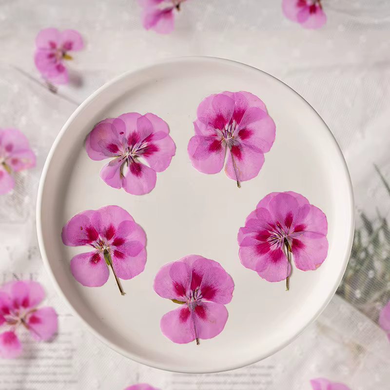 12 pièces, fleurs de géranium séchées et pressées