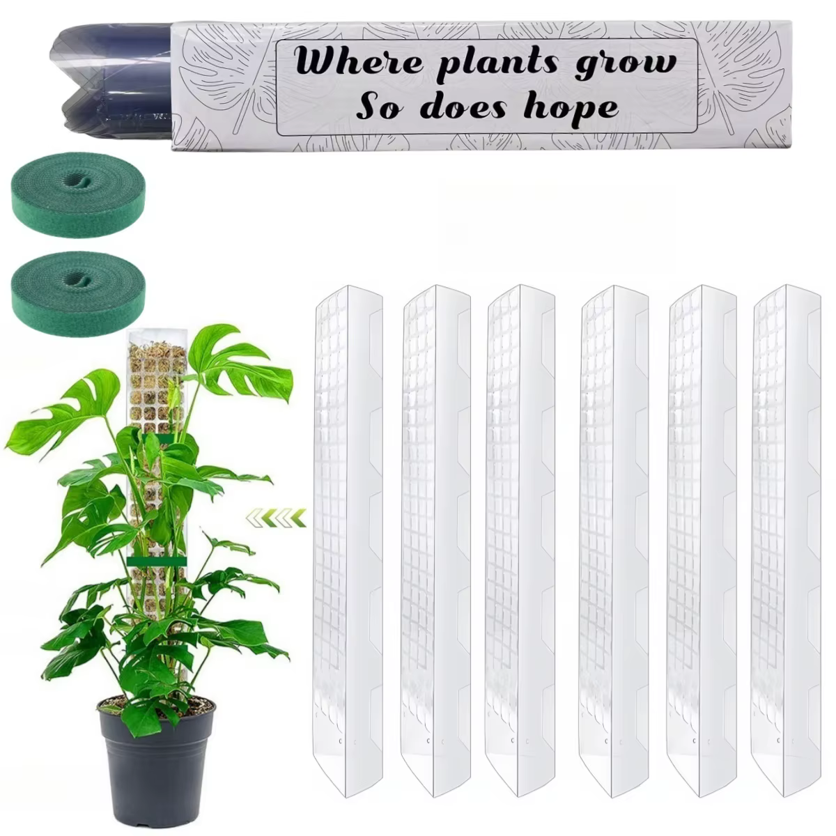 Plantes mousse pôle jardin sujet fleur plante grimpeurs bonsaï accessoires Pots Tutors
