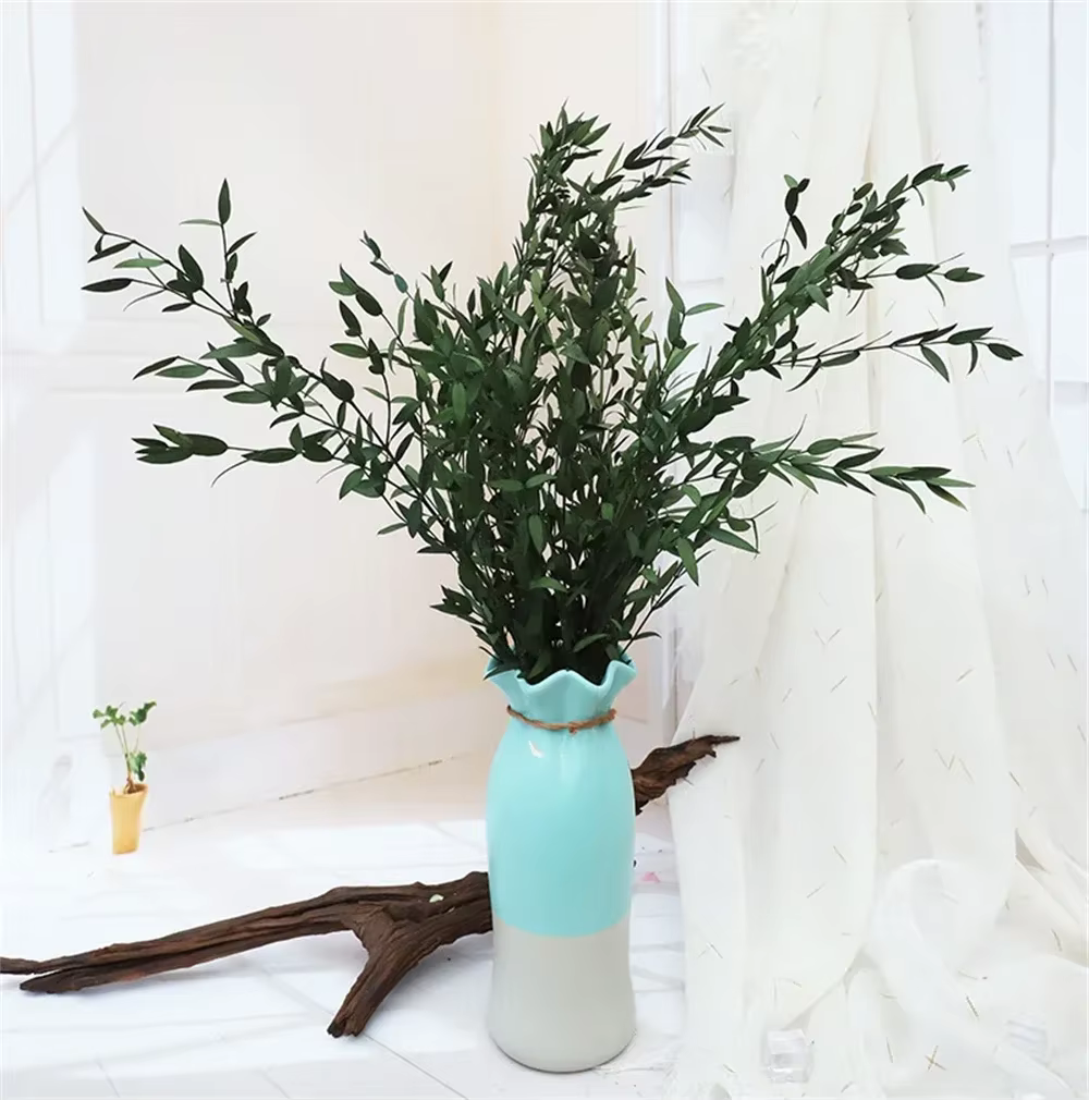 Feuilles d'eucalyptus naturelles
