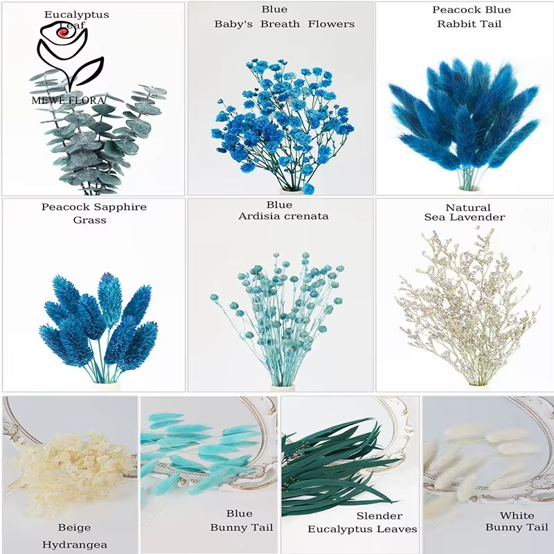 Boîte de fleurs séchées naturelles colorées mélangées
