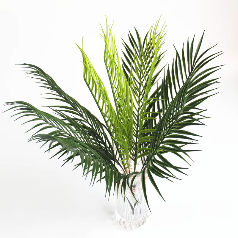 Feuilles de palmier Monstera Tropical