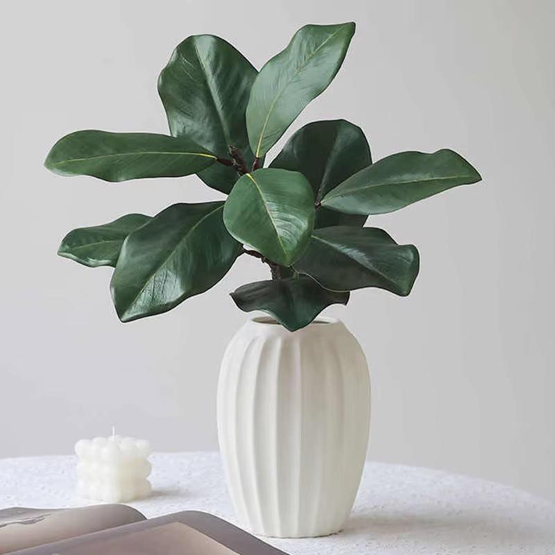 Plantes vertes de Simulation